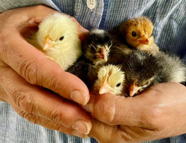 78E6C31D-1311-4254-B443-530E0C70590D 2